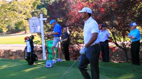 TIGER WOODS ON THE TEE Vidéo 982668