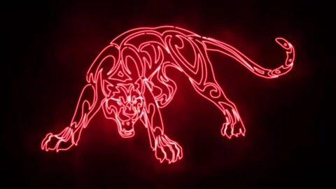 Tiger1 Depht Stock Footage 196729132