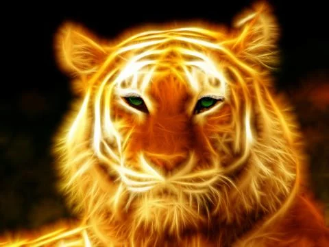 Tigerfire Stock Illustration