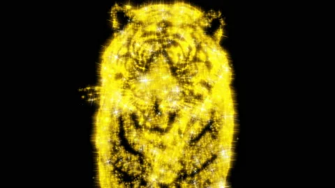TigerGold RGB+Alpha Video stock 167018953