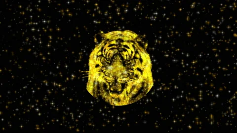 TigerHeadOnly+Alpha Stock Footage 166338599