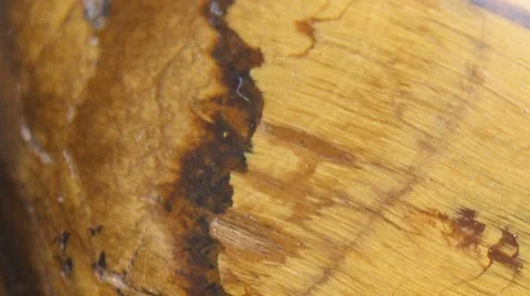 Tiger's Eye gemstone macro Stock Footage 67757362