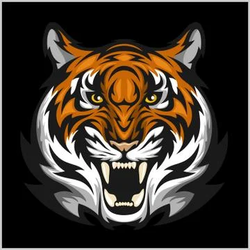Tigers Face. Vector illustration of a tiger head. Stock Illustration