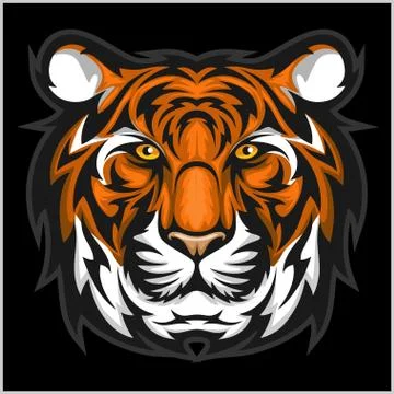 Tigers Face. Vector illustration of a tiger head. Stock Illustration