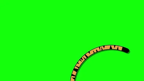 The tiger's tail sways to the right and left. Animated tiger tail 4K looping Stock Footage 284396072