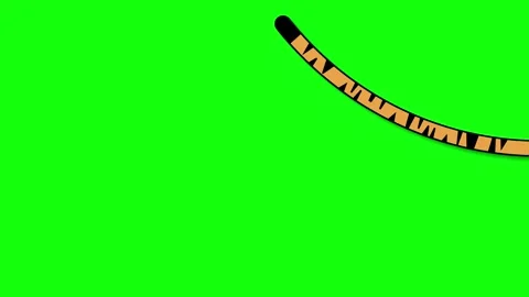 The tiger's tail sways to the right and left. Animated tiger tail 4K looping Stock Footage 284396074