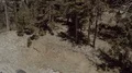 tight aerial ascending up over pine trees near antenna farm HD Footage