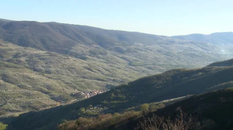 Tight angled view on straight valley of cherry plantations Stock Footage 49653392