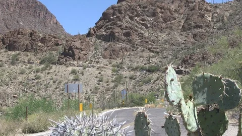 Tight cactus windy road no close car Arizona Stock Footage 87717408