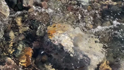 Tight closeup of clear river water bubbling over rocks Stock Footage 273176580