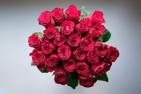 A tight cluster of two dozen red roses form a vibrant bouquet. Green leaves peek Stock Photos