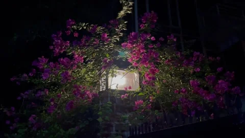Tight Horizontal View of Vibrant Paper Flowers and Dark Atmospheric Sky. Stock Footage 344687206