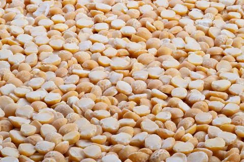 Tight pattern yellow split peas creating repeating texture background, balanc 스톡 사진