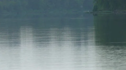 Tight shot of large fish jumping up out of river and splashing back down into Stock Footage 54112568