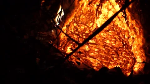 Tight shot of lava oozing onto forest floor - Kilauea Hawaii Stock Footage 49701352