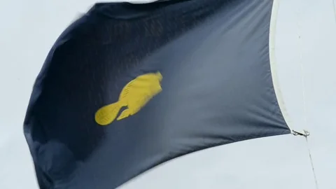 Tight shot of the reverse side of the Oregon state flag in strong winds Stock Footage 75454957