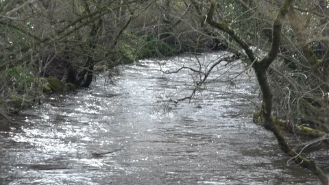Tight Shot River Stock Footage 104560269