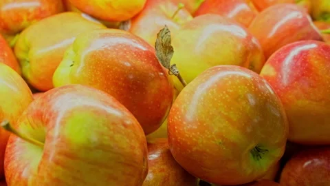 Tight Slow Handheld Pan of fresh Red Apples On A Retail Grocery Store Display Stock Footage 202987148