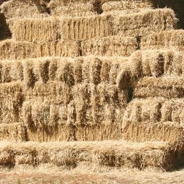 Tight Stack Of Yellow Hay Bales Stock Photos