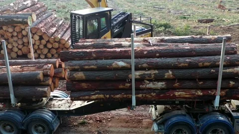 Tight tracking drone shot of logs being loaded onto truck Stock Footage 172559137