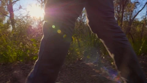 Tight tracking shot of legs walking on bush track slow motion Stock Footage 119349625