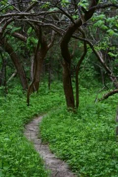 Tight Trails Stock Photos