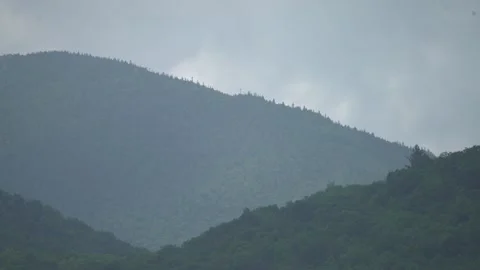 Tight tree covered hills Stock Footage 171340793