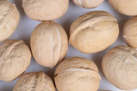 Tight walnuts in shells baking pattern, repetitive layout suggests pastry or des 库存照片