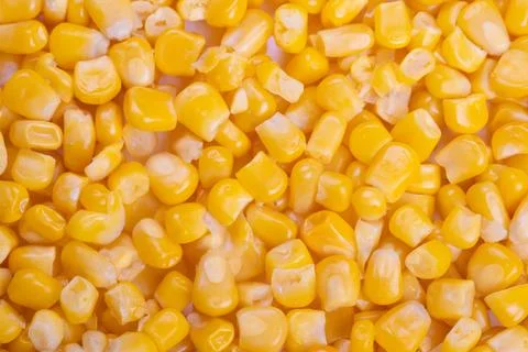 Tightly packed sweet corn kernels forming repeating pattern, macro texture .. Stock Photos