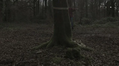 Tightrope walk, s1 Video stock 38844948