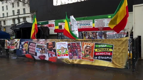 Tigray genocide protest. Video stock 229709729