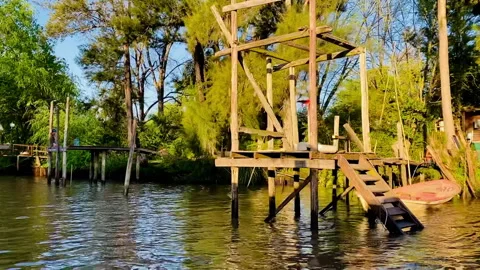 Tigre Buenos Aires Stock Footage 254220838
