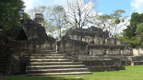 Tikal guatemala 5 Video stock 118850995