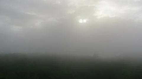 Tikal, Guatemala Stock Footage 32523843
