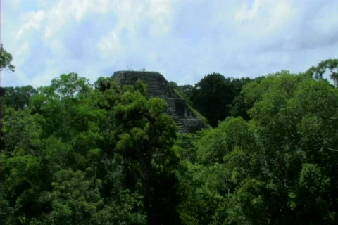 Tikal zoom in Video stock 275142