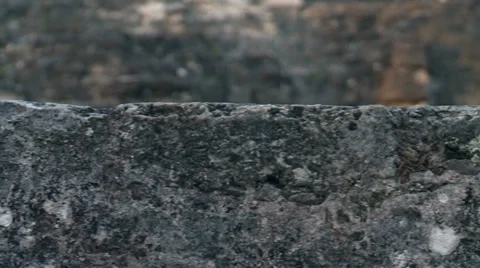 Tikal.Details of ancient Mayan pyramids. Stock Footage 33731795
