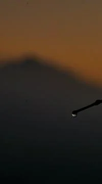 TIKEJDA Stock Photos