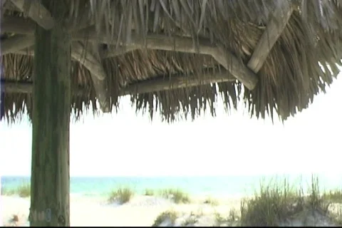 Tiki hut on beach Stock Footage 771903