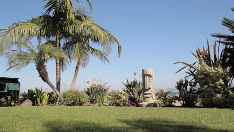 Tiki Statue with Palm Trees on a Beach city Harbor Stock Footage 142012438