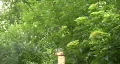 Tiki Torch 03 HD Footage