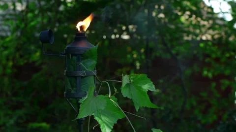 Tiki Torch Burning Video stock 27631744