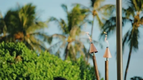 Tiki torch with flame burning among tropical nature near resort hyat,island maui Stock Footage 101119510