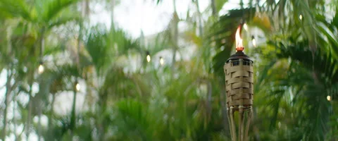 Tiki Torch  Stock Footage 159010604
