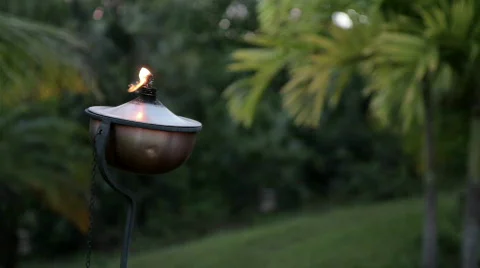 Tiki Torch in Paradise 库存影片 874030