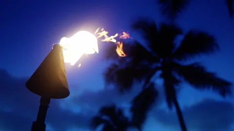 Tiki Torch, Slow Motion Fire, 240 fps, Beach Lantern Vídeo Stock 31823827