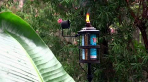 Tiki Torch Slow motion.mp4 库存影片 11351167