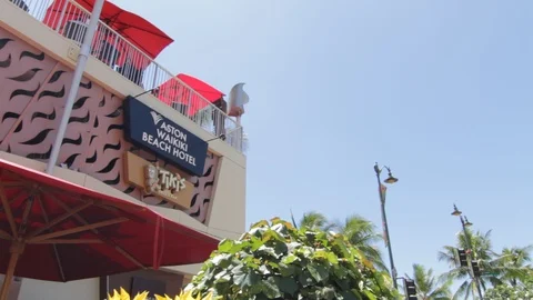 Tiki's and Aston Stock Footage 105224222