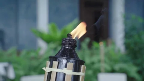 Tikki Torch Flame Stock Footage 287968160