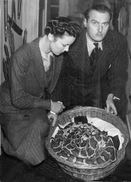 Tiko The Missing Python Owned By Adrian Malcolm Conan Doyle Slept Last Night Aft 写真素材