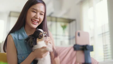 Tiktok dance challenge with pet in pet lover online digital community. Vidéo 200798618